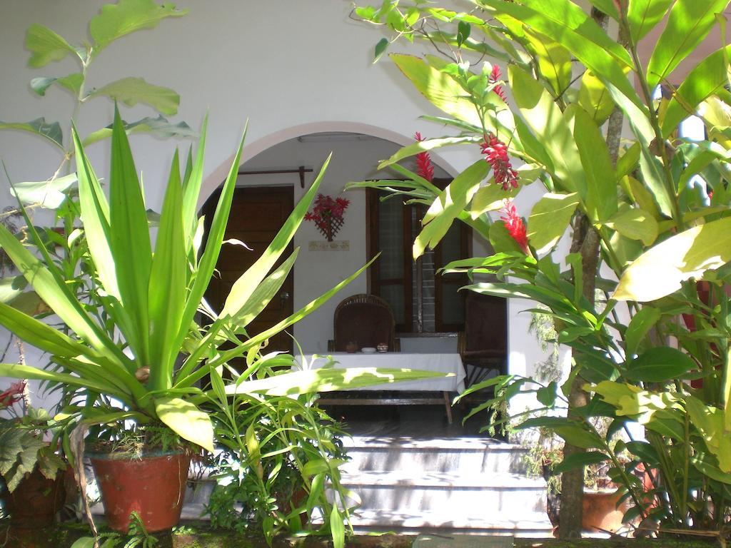Jickys Nest Hotell Varkala Rum bild