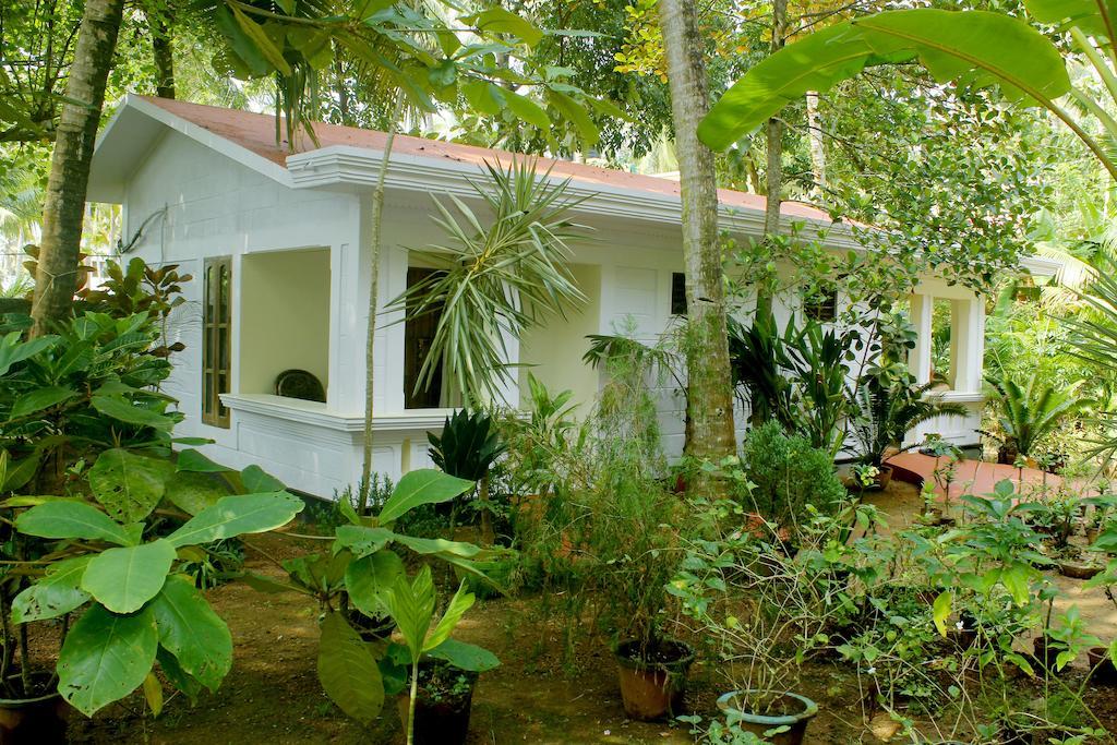 Jickys Nest Hotell Varkala Rum bild
