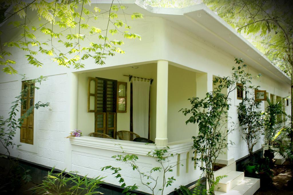 Jickys Nest Hotell Varkala Rum bild