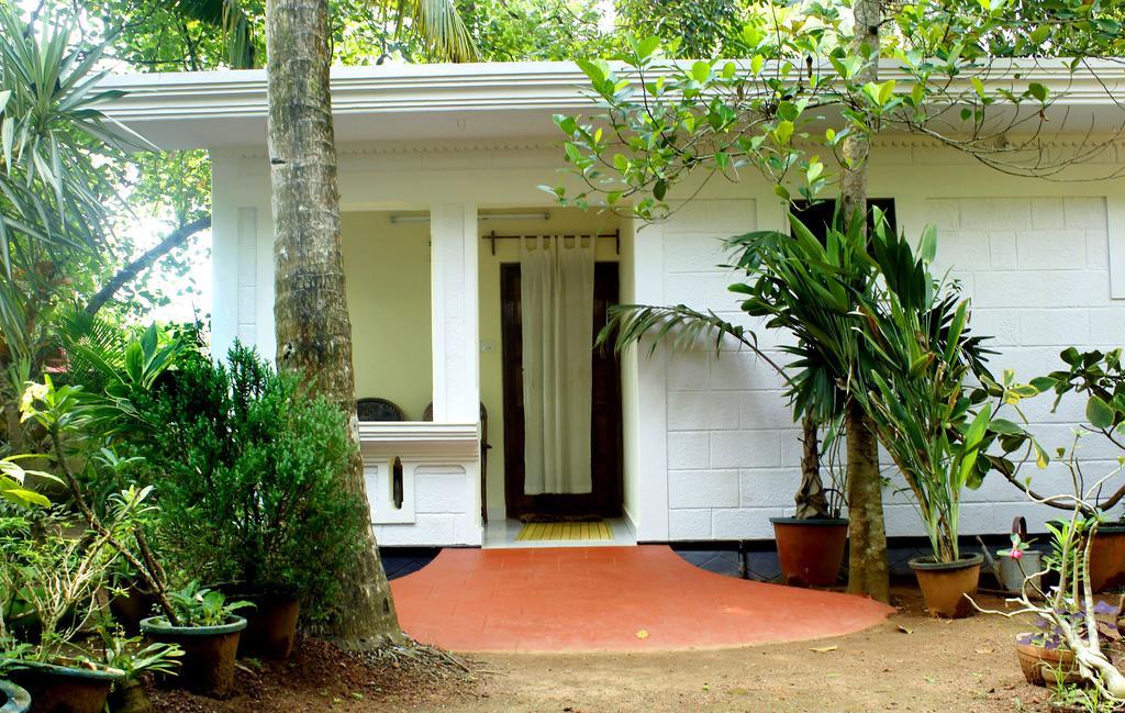 Jickys Nest Hotell Varkala Rum bild